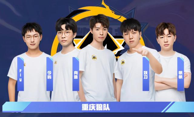 了解一下维 了解一下维